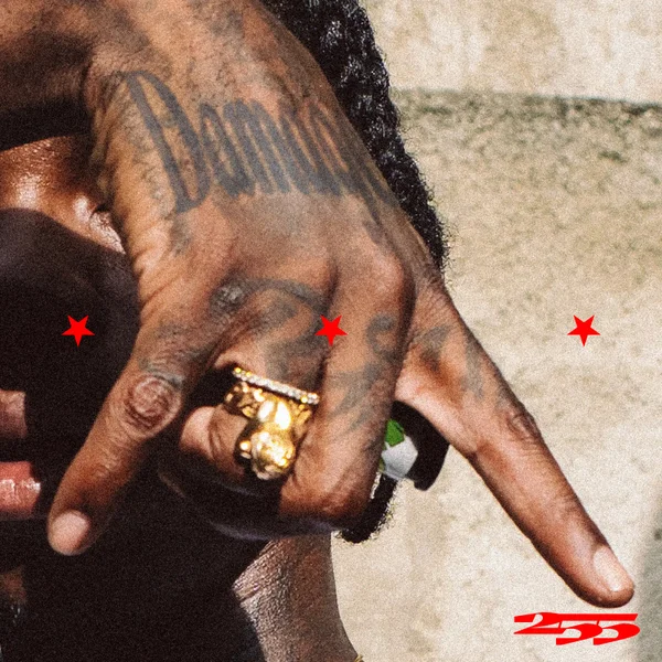 255 – Damage (with Naira Marley & Zinoleesky) ft. Naira Marley & Zinoleesky Mp3 Download