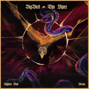 BIGBIRD KUTI – The Matter ft. Vector