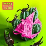 Boj – JABO Ft. ODUMODUBLVCK