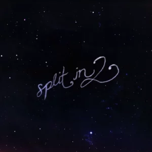 Divine Lightbody – split in 2
