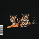 Flozigg – OCTOBER Ft. Dabu