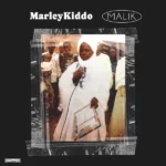 Marleykiddo – Wellsfargo (2.0) Ft. Jo Blaq