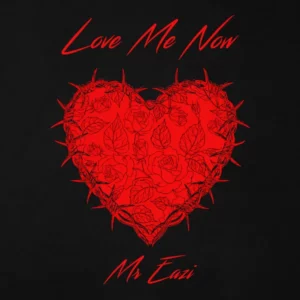 Mr Eazi – Love Me Now