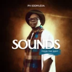 PV Idemudia – YOU REIGN ft. YYC WORSHIP