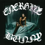 Roy Woods – Energize Bunny