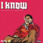 SHATTA WALE – I KNOW