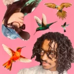 SirBastien – The Whistle Song ft. Ivohé