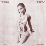 Tyla x Travis Scott – Water (Remix)