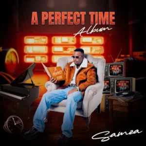 SAMZA – A Perfect Time Intro, By: Twavula